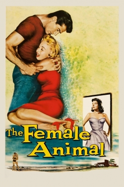 Watch The Female Animal movies free hd online