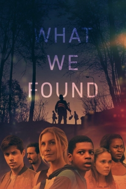 Watch What We Found movies free hd online