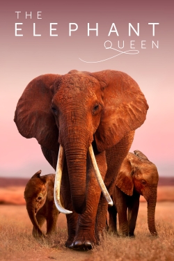 Watch The Elephant Queen movies free hd online