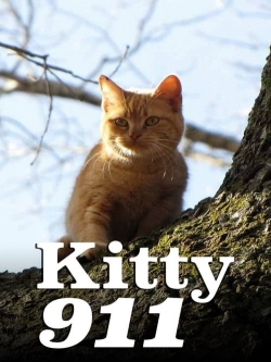 Watch Kitty 911 movies free hd online