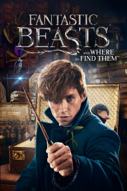 Watch Fantastic Beasts and Where to Find Them movies free hd online