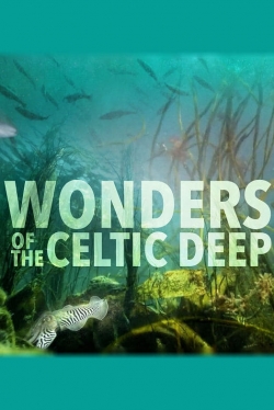 Watch Wonders of the Celtic Deep movies free hd online