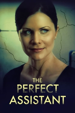 Watch The Perfect Assistant movies free hd online